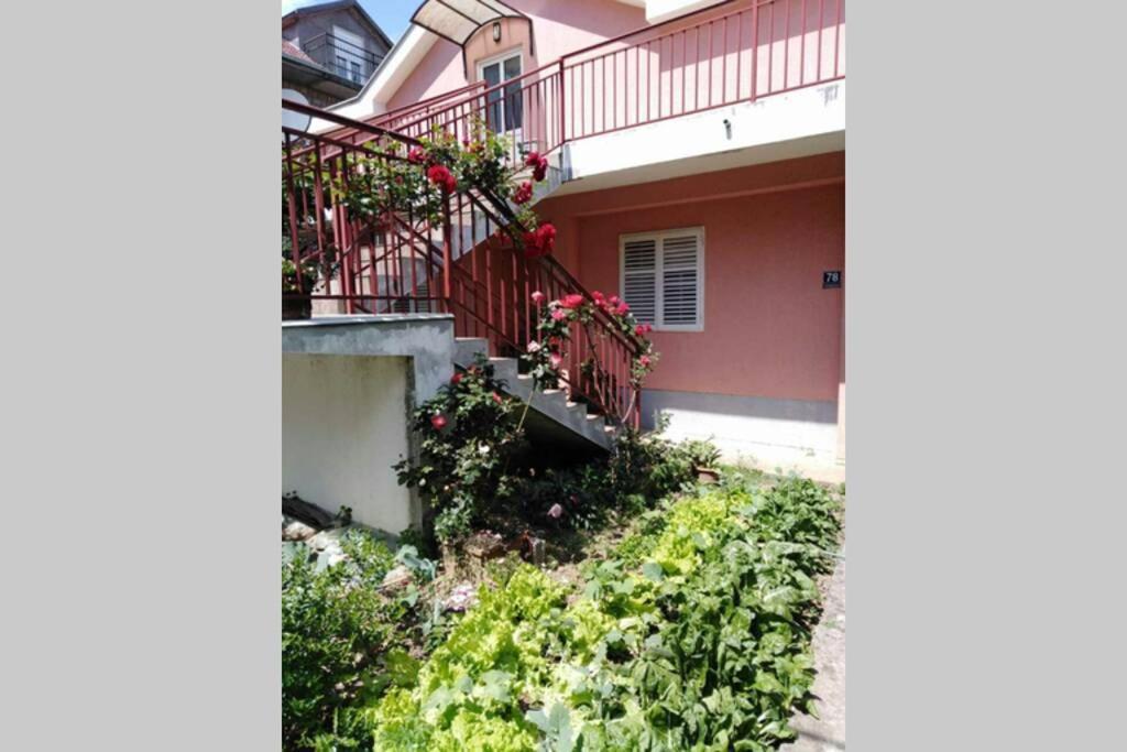 Apartman Danica Herceg Novi Exterior foto